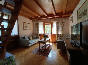 Luxury Panoramic 3BR Apt 2min to Centre 5min to Lifts, Cortina D'ampezzo